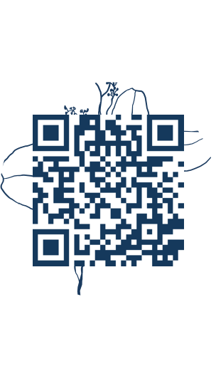 https://www.notesdumontroyal.com/note/368