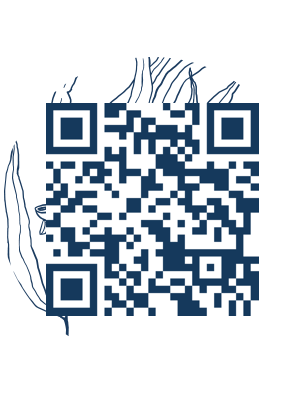 https://www.notesdumontroyal.com/note/369