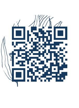https://www.notesdumontroyal.com/note/379