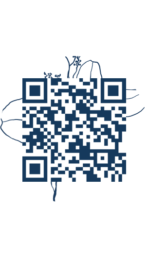 https://www.notesdumontroyal.com/note/38