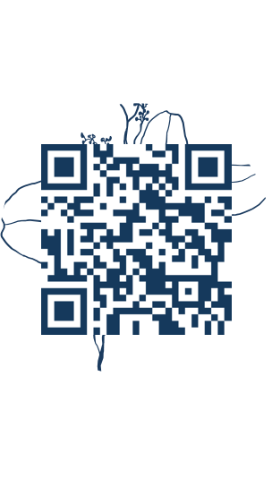 https://www.notesdumontroyal.com/note/388