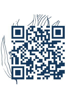 https://www.notesdumontroyal.com/note/389