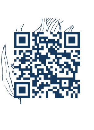 https://www.notesdumontroyal.com/note/39