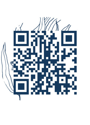https://www.notesdumontroyal.com/note/399