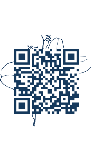 https://www.notesdumontroyal.com/note/418