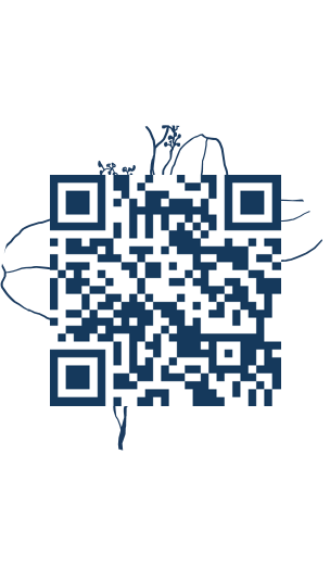 https://www.notesdumontroyal.com/note/428