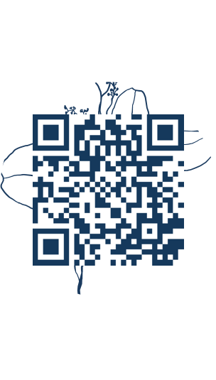 https://www.notesdumontroyal.com/note/438