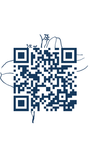https://www.notesdumontroyal.com/note/458