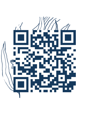 https://www.notesdumontroyal.com/note/459