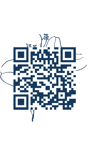 https://www.notesdumontroyal.com/note/468