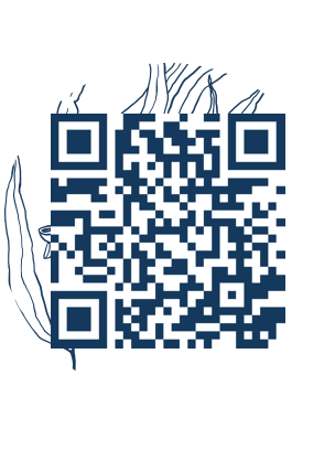 https://www.notesdumontroyal.com/note/469
