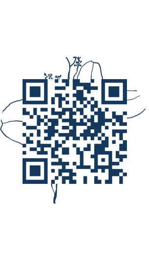 https://www.notesdumontroyal.com/note/478
