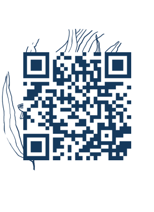 https://www.notesdumontroyal.com/note/479