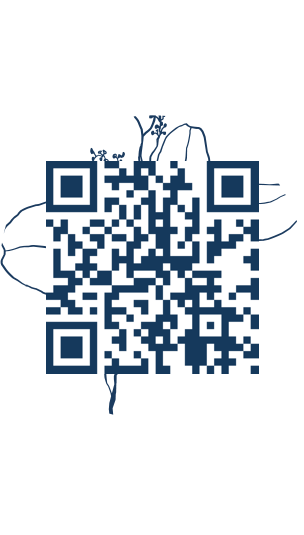 https://www.notesdumontroyal.com/note/48