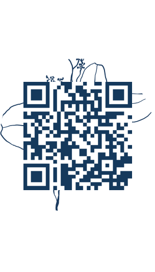 https://www.notesdumontroyal.com/note/488