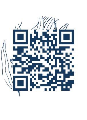 https://www.notesdumontroyal.com/note/489