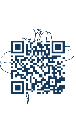 https://www.notesdumontroyal.com/note/508