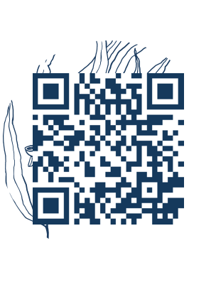 https://www.notesdumontroyal.com/note/509