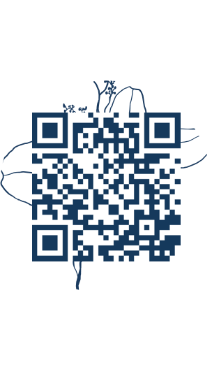 https://www.notesdumontroyal.com/note/518
