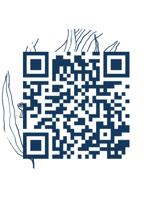 https://www.notesdumontroyal.com/note/519