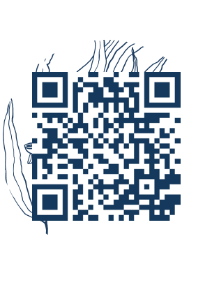 https://www.notesdumontroyal.com/note/529