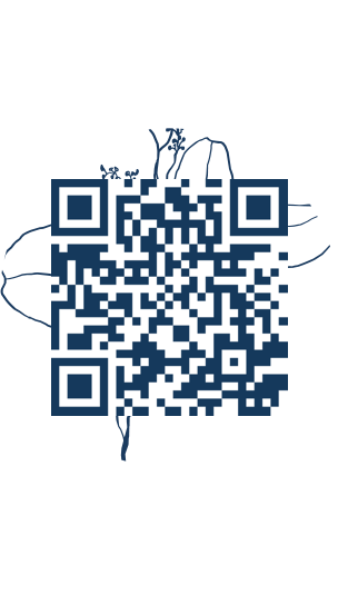 https://www.notesdumontroyal.com/note/538