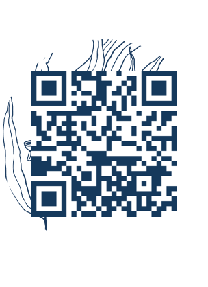 https://www.notesdumontroyal.com/note/539