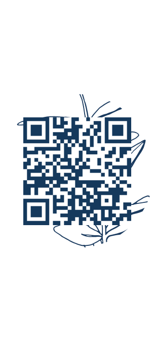 https://www.notesdumontroyal.com/note/543