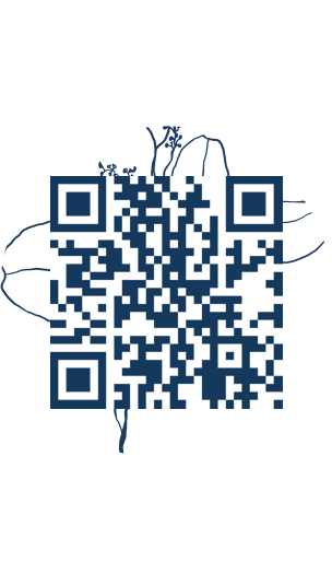 https://www.notesdumontroyal.com/note/548