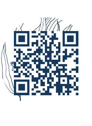 https://www.notesdumontroyal.com/note/549