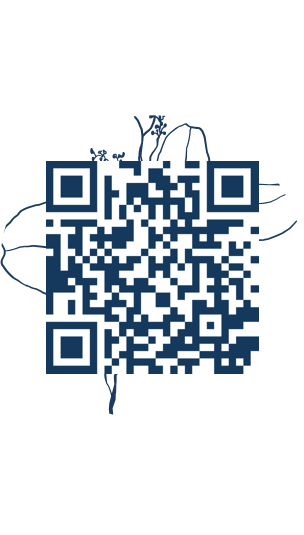 https://www.notesdumontroyal.com/note/558