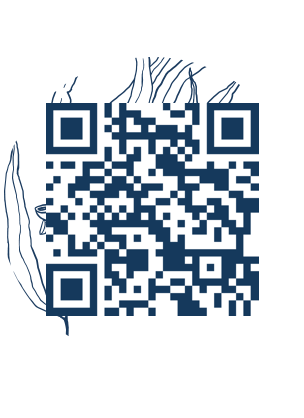 https://www.notesdumontroyal.com/note/559