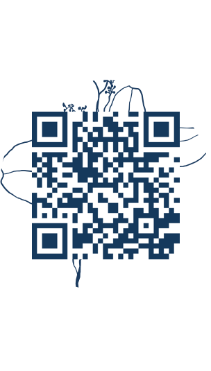 https://www.notesdumontroyal.com/note/568