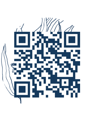 https://www.notesdumontroyal.com/note/569