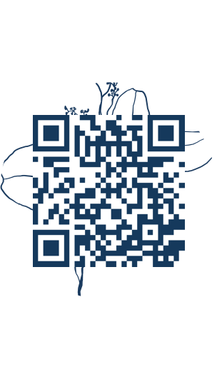 https://www.notesdumontroyal.com/note/578