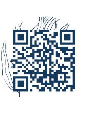 https://www.notesdumontroyal.com/note/579