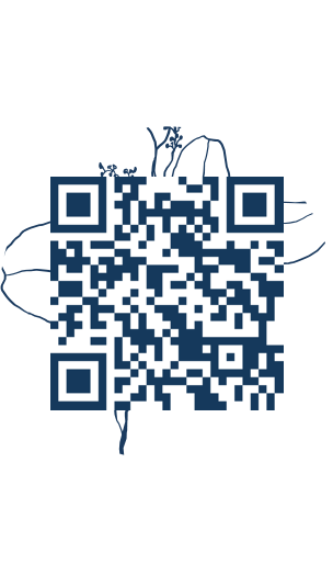 https://www.notesdumontroyal.com/note/588