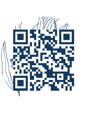 https://www.notesdumontroyal.com/note/589
