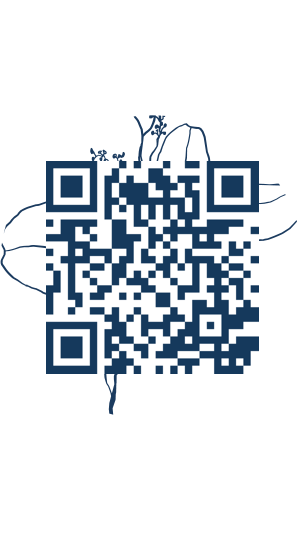 https://www.notesdumontroyal.com/note/598