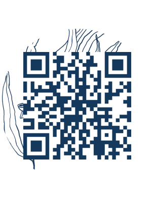 https://www.notesdumontroyal.com/note/599