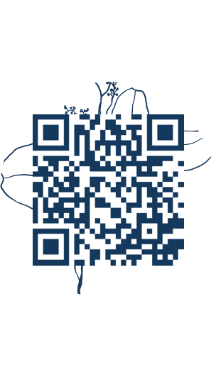 https://www.notesdumontroyal.com/note/608
