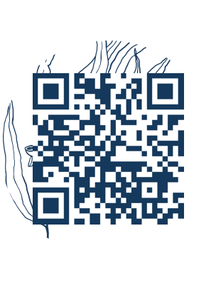 https://www.notesdumontroyal.com/note/609