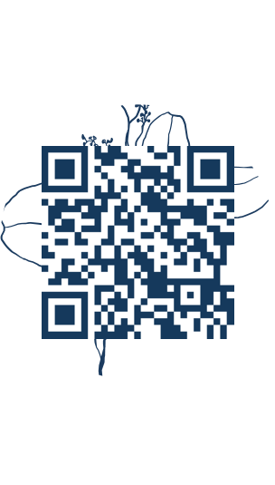 https://www.notesdumontroyal.com/note/618