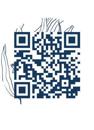 https://www.notesdumontroyal.com/note/619