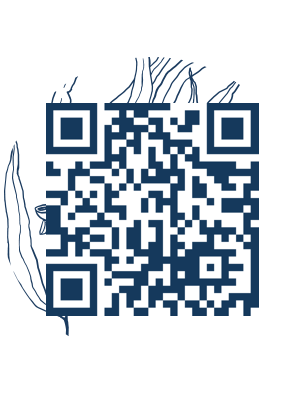 https://www.notesdumontroyal.com/note/629