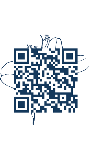 https://www.notesdumontroyal.com/note/638