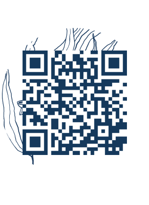 https://www.notesdumontroyal.com/note/639
