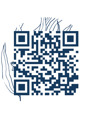 https://www.notesdumontroyal.com/note/649
