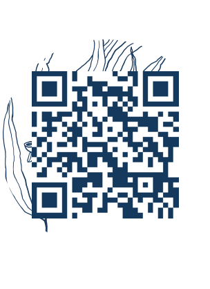 https://www.notesdumontroyal.com/note/659