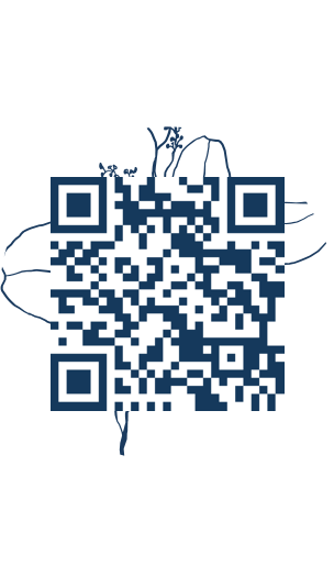 https://www.notesdumontroyal.com/note/668